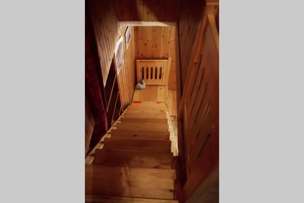 Chalet indipendente in centro a Valtournenche Esterno foto